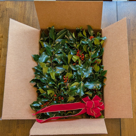 Fresh Boxed Holly